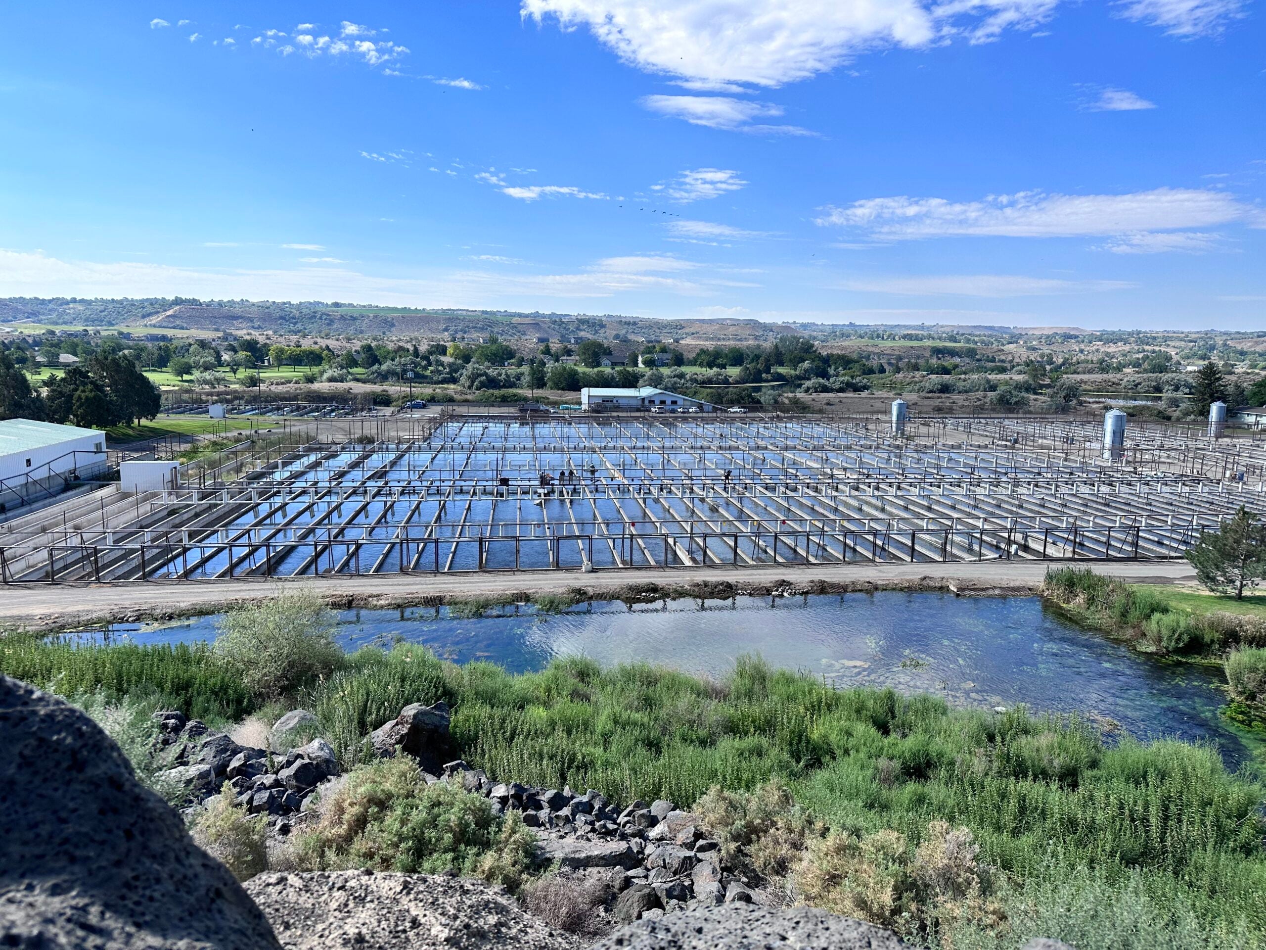 fish farm with mountain view